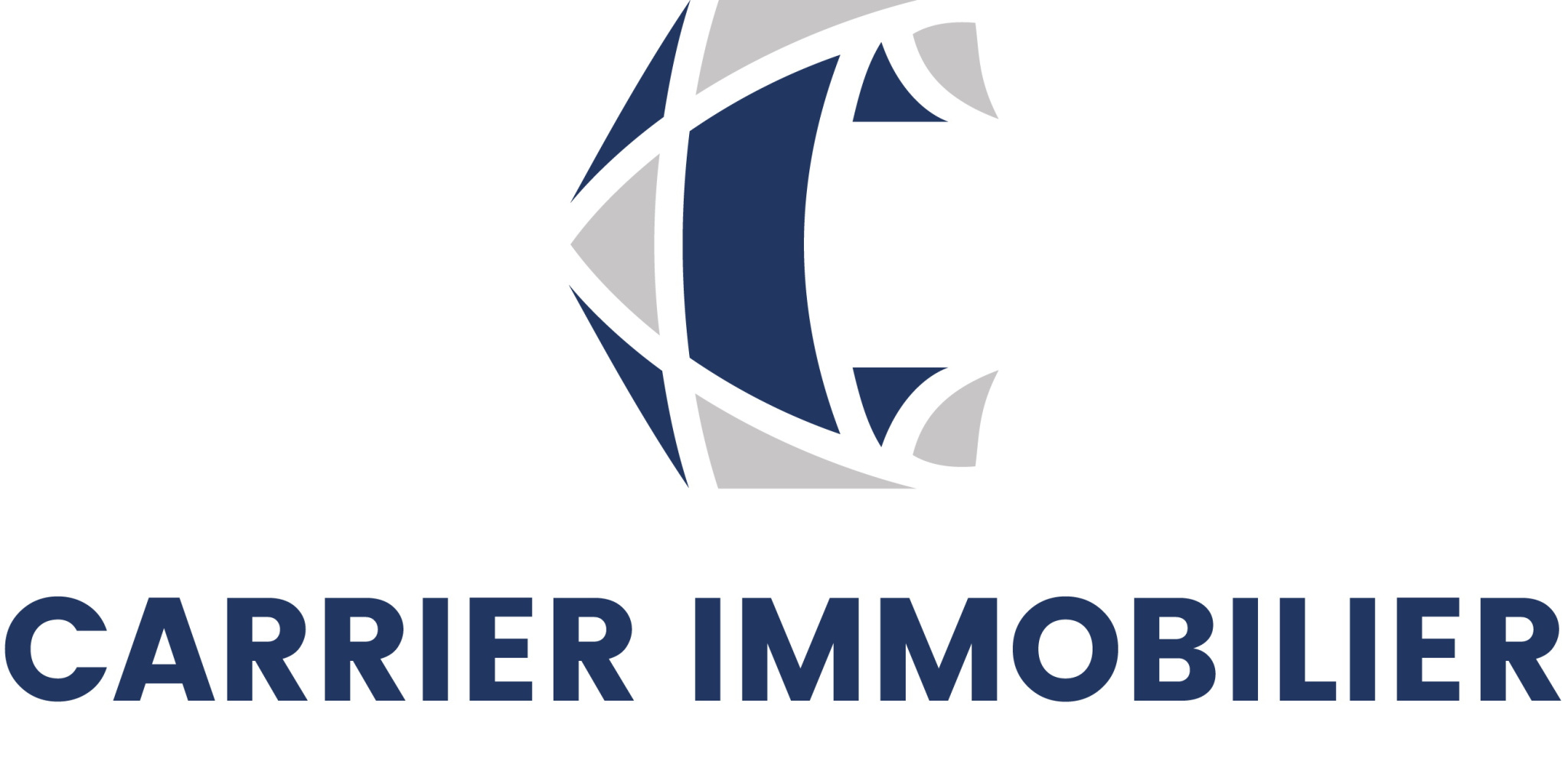 Logo Carrier Immobilier | Carrier Properties & Investments
